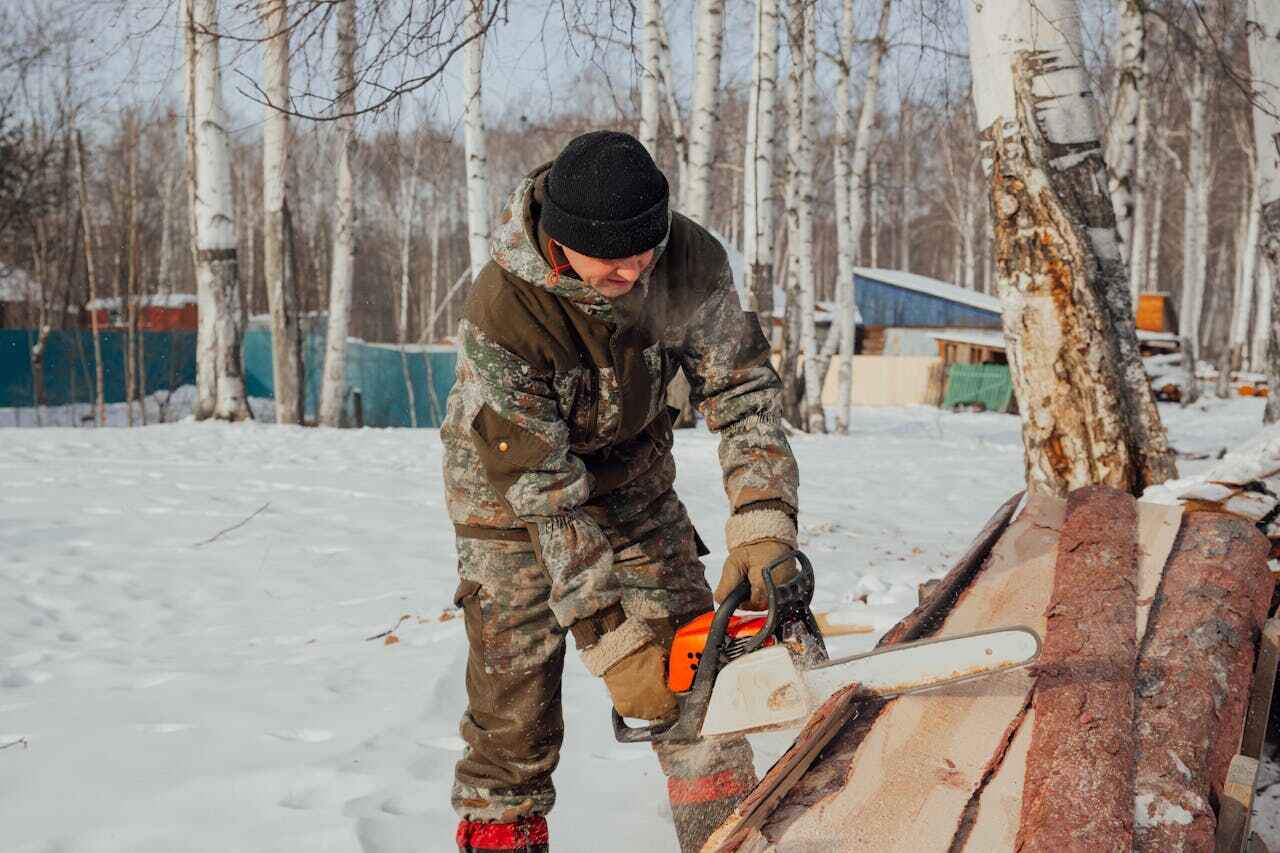 Tree Branch Trimming in Marion, TX